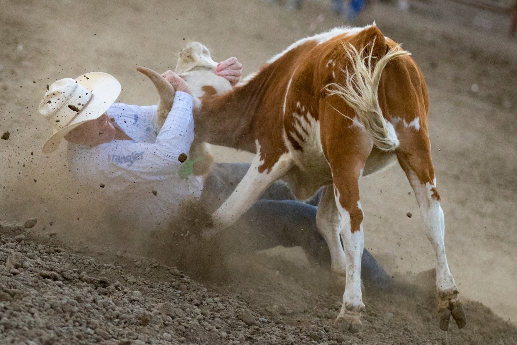 PRCA Yellowstone River Roundup